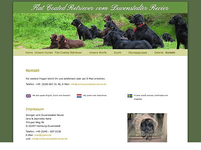 Flat Coated Retriever vom Duvenstedter Revier – Flats aus Hamburg